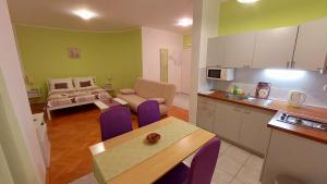 Kuchyň nebo kuchyňský kout v ubytování IstraNova Apartments