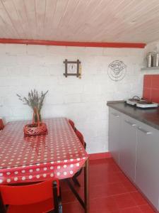 a kitchen with a table with a basket on it at Tara Suncani sjaj-planinska kuca in Šljivovica +59 photos
