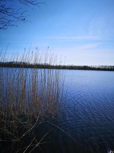 a large body of water with some tall grass at Megis Ferien Unterkunft 