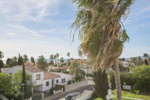 a palm tree in front of a white house at BayMar by MarCalma in Montroig
