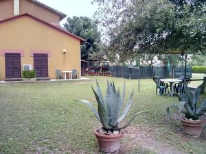 Zahrada ubytování Il Gelsomino Bio Agriturismo