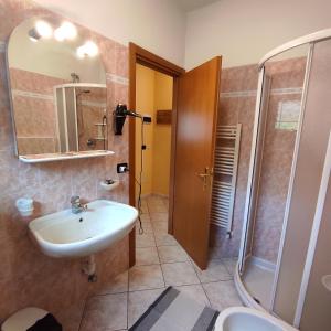 uma casa de banho com um lavatório e um chuveiro em Baita Stella Alpina em Livigno