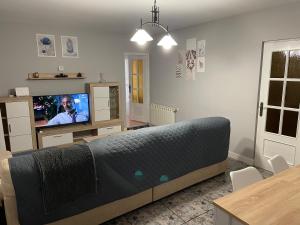 uma sala de estar com um sofá e uma televisão em Casa Alberche a 9Km Talavera em Alberche del Caudillo