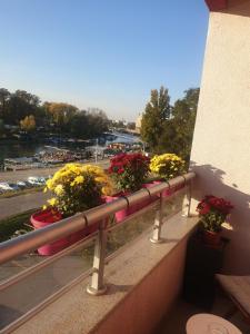 Ảnh trong thư viện ảnh của Apartman ANN ở Pančevo