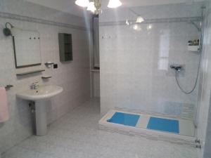 a bathroom with a shower and a sink and a shower at I Pini B&B in Castagnito