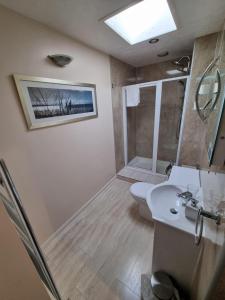 ein Bad mit einem WC, einem Waschbecken und einer Dusche in der Unterkunft The Fawley Guest house in Shanklin