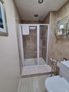 a bathroom with a shower with a toilet and a sink at The Fawley Guest house in Shanklin