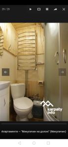a bathroom with a toilet and a shower at микуличин на долоні in Mykulychyn