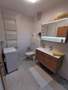 a bathroom with a sink and a toilet at Apartman PIKY No.10 in Moravske-Toplice