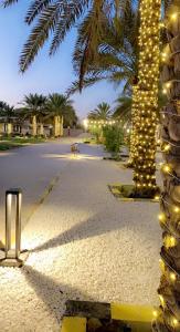 a palm tree with christmas lights on a street at بيت العز السياحي Al-Ezz Tourist House in Sohar