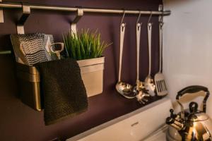 a kitchen counter with utensils and a pot of plants at Downtown Studio Apt, Near Tufts Med, BMC, MGH in Boston