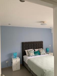 1 dormitorio con 1 cama grande y paredes azules en Zorritos-playa, en Lima