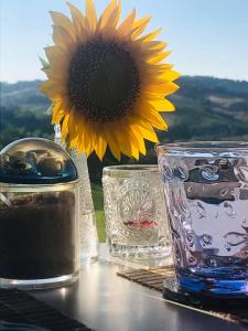 a sunflower in a vase sitting next to two glasses at Casale delle Rondini in Tolentino