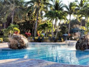 那不勒斯的住宿－GreenLinks Luxury Villa at Lely Resort Golf - 3 Bedrooms，度假村内棕榈树游泳池