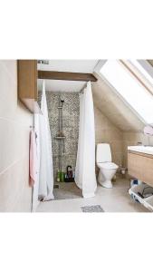 an attic bathroom with a toilet and a shower at D'Lyon Stud and Sporthorses in Asarum