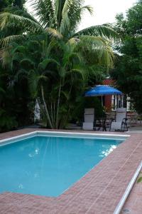 Piscina di Posada Ya´ax Ich o nelle vicinanze