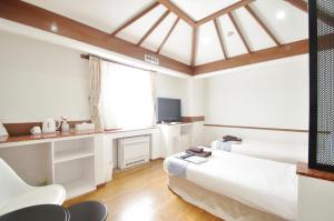 Televiisor ja/või meelelahutuskeskus majutusasutuses Hotel Imalle Yokohama Isezakicho
