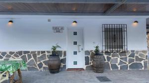 a front door of a building with two plants in pots at Casa al sol in Adra