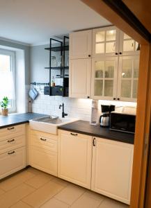 Kitchen o kitchenette sa Elbtal-Apartment