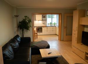 a living room with a couch and a table at Elbtal-Apartment de in Heidenau