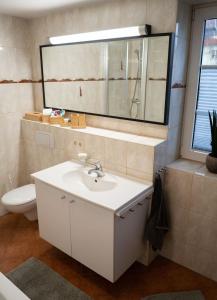 a bathroom with a sink and a mirror and a toilet at Elbtal-Apartment de in Heidenau