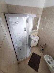 a bathroom with a shower and a sink at Villa Ilona in Primošten