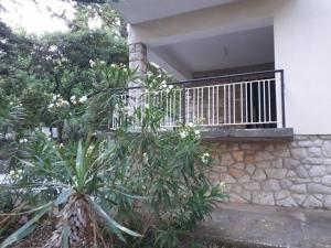 Balkón nebo terasa v ubytování Vila Darinka