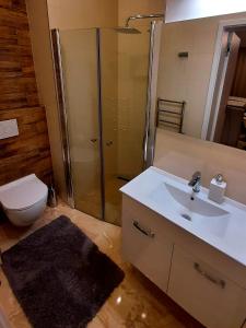 Kúpeľňa v ubytovaní Nobless Apartments Holedná Brno