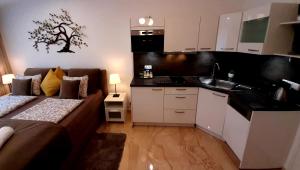 Kuchyňa alebo kuchynka v ubytovaní Nobless Apartments Holedná Brno