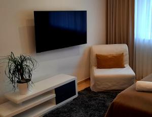 Televízia a/alebo spoločenská miestnosť v ubytovaní Nobless Apartments Holedná Brno