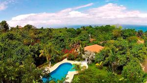 Hồ bơi trong/gần Hotel Three Monkeys