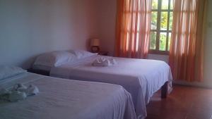 Gallery image of Hotel Three Monkeys in Montezuma