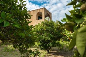 Κήπος έξω από το The Tower with the Orange tree garden