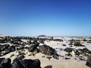 Fotografie z fotogalerie ubytování DUNA DORADA v destinaci Corralejo