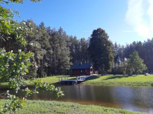 a cabin on the shore of a lake at Pušų Šlamesy in Vilnius