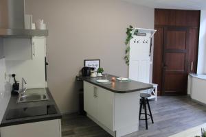 a kitchen with a counter and a sink and a refrigerator at Elena's Apartment in Liège