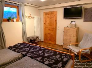 1 dormitorio con 1 cama, TV y silla en Wohlfühlen mitten in Wacken, en Wacken