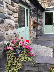a door of a house with flowers in front of it at Hafan Cottage at Bryn Llys in Bethesda