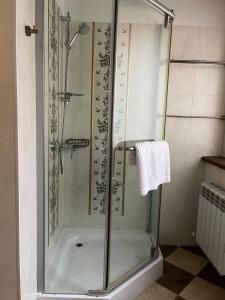 um chuveiro com uma porta de vidro na casa de banho em Orbita hotel Shymkent em Shymkent