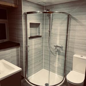 een douchecabine in een badkamer met een toilet bij Hafan Cottage at Bryn Llys in Bethesda
