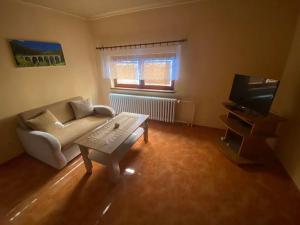 A television and/or entertainment centre at Apartmány Rejdovian