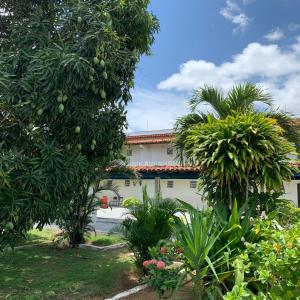 Zahrada ubytování CALDAS PALACE HOTEL JORRO