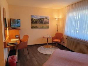 TV a/nebo společenská místnost v ubytování Hotel Koch