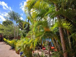 a group of palm trees in a garden at IVATO HOTEL - HOTEL IVATO Airport in Antananarivo