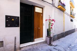 Billede fra billedgalleriet på HN El Palomar i Sevilla