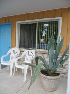 two white chairs and a potted plant on a porch at Starlite Motel in Wisconsin Dells