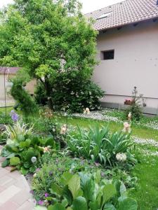 A garden outside Marcsi Apartman