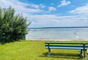 eine Parkbank auf dem Rasen in der Nähe eines Strandes in der Unterkunft Ferienhäuser mit Seeblick direkt am Plauer See in Plau am See