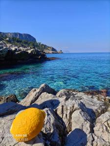 a yellow lemon sitting on some rocks near the water at Case Vanella Grande aspra bagheria in Bagheria