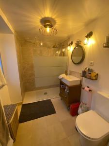 ein Badezimmer mit einem WC, einem Waschbecken und einem Spiegel in der Unterkunft Aux portes du Val d'Amour 